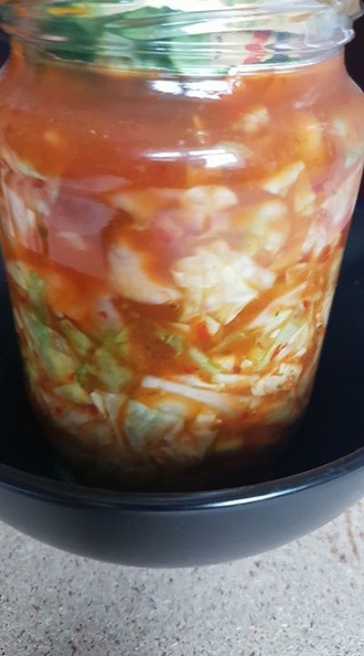 First batch of Kimchi brewing!.jpg
